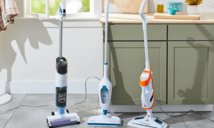 Best Steam Mops 2024