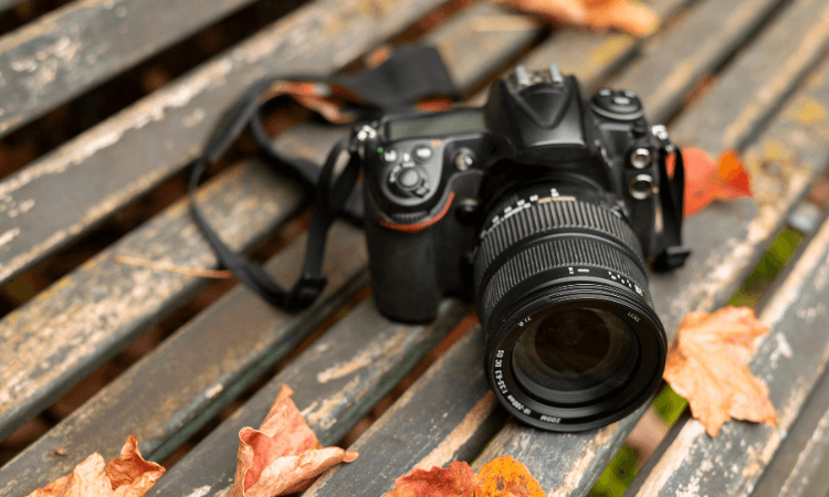 Best DSLR Cameras 2024